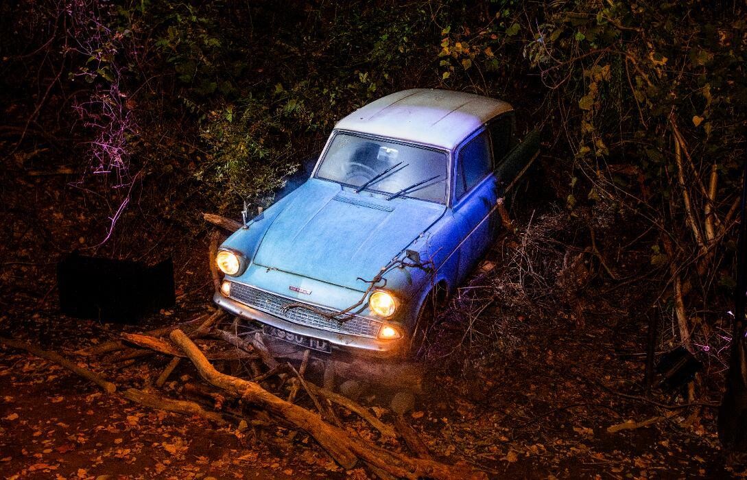 Images Harry Potter: A Forbidden Forest Experience - Brisbane