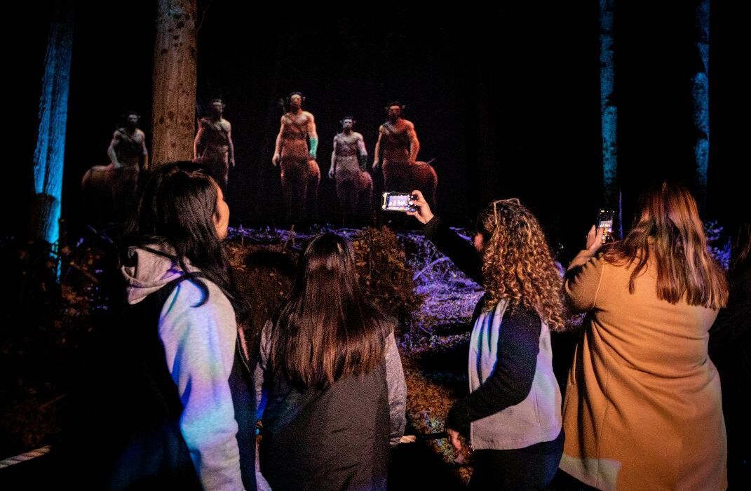 Images Harry Potter: A Forbidden Forest Experience - Brisbane