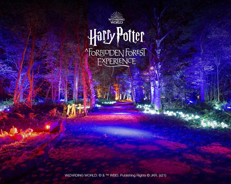 Images Harry Potter: A Forbidden Forest Experience - Brisbane