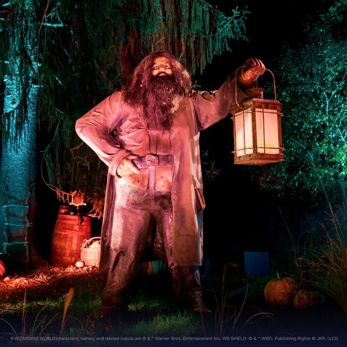 Images Harry Potter: A Forbidden Forest Experience - Brisbane