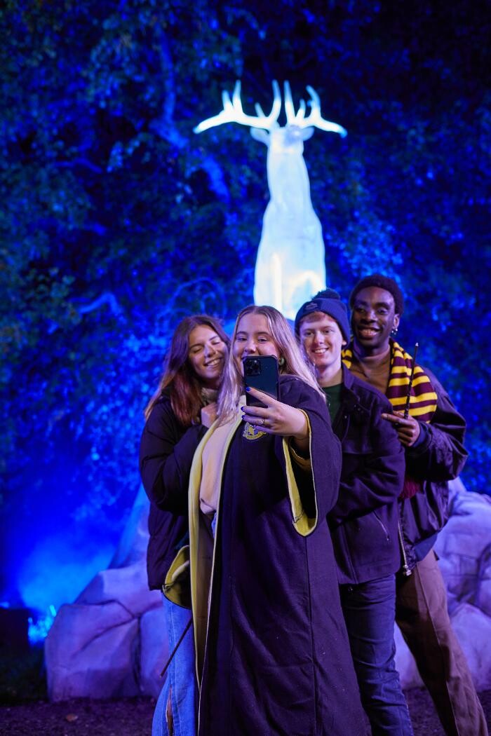 Images Harry Potter: A Forbidden Forest Experience - Brisbane