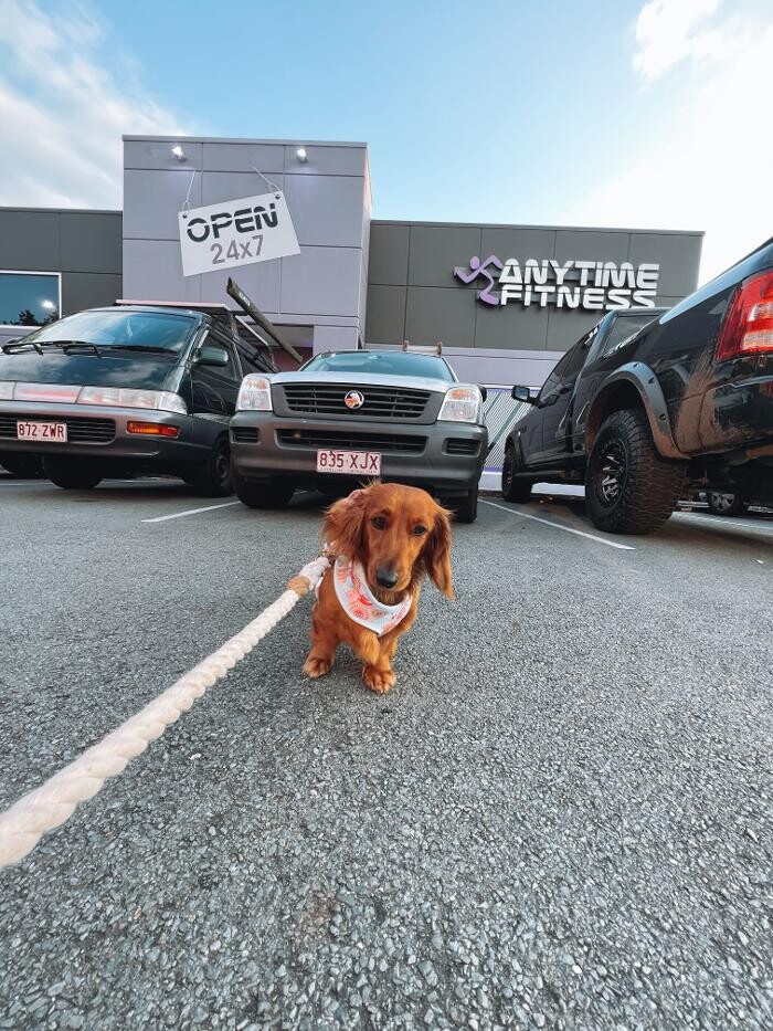 Images Anytime Fitness Upper Coomera