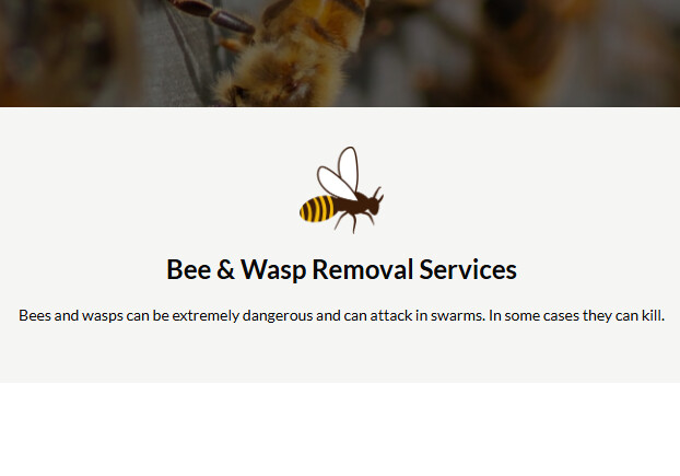 Anthony The Wasp and Bee Man Logo