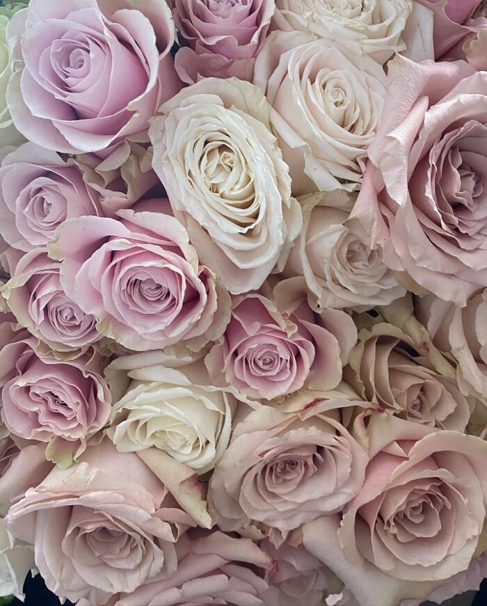 Images Shirley's Flowers, Ballina Florist