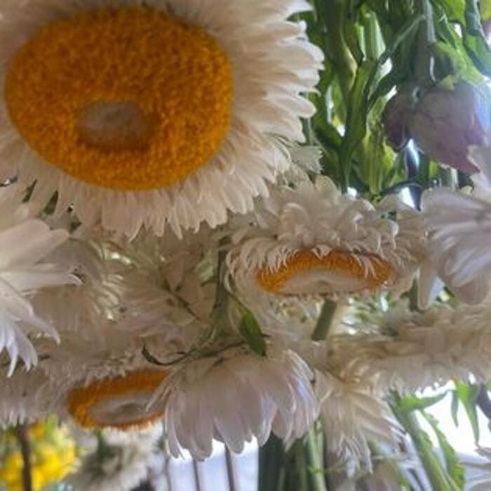 Images Shirley's Flowers, Ballina Florist
