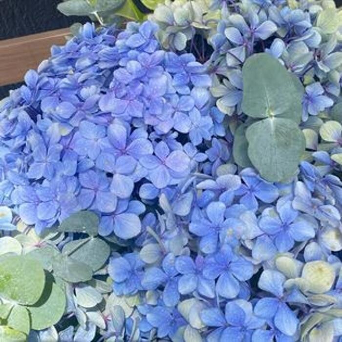 Images Shirley's Flowers, Ballina Florist