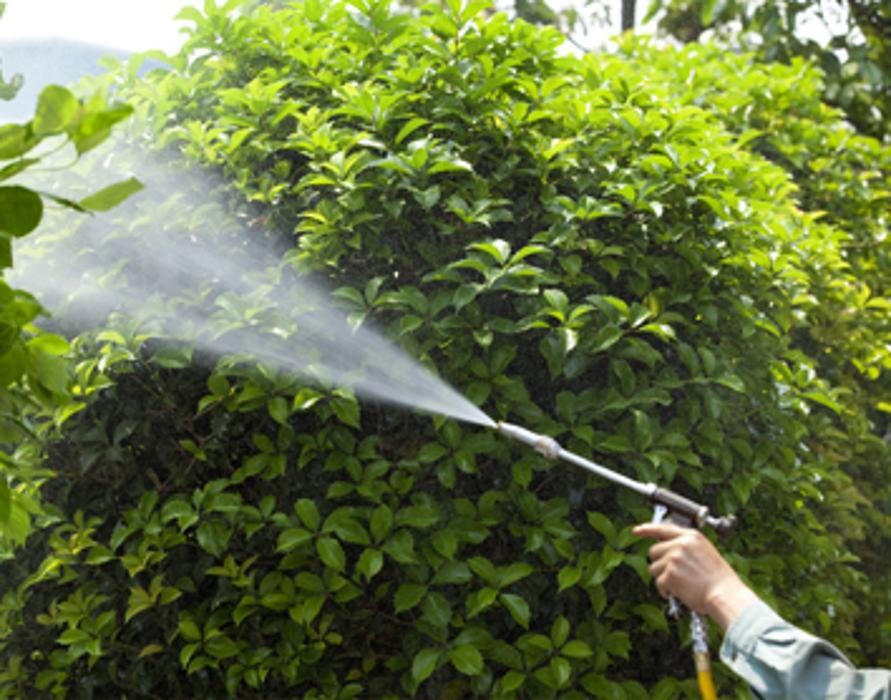 Images Fox Mowing & Gardening Kellyville | Lawn Mowing and Gardening Maintenance #1 Lawn Services, Soft Landscaping