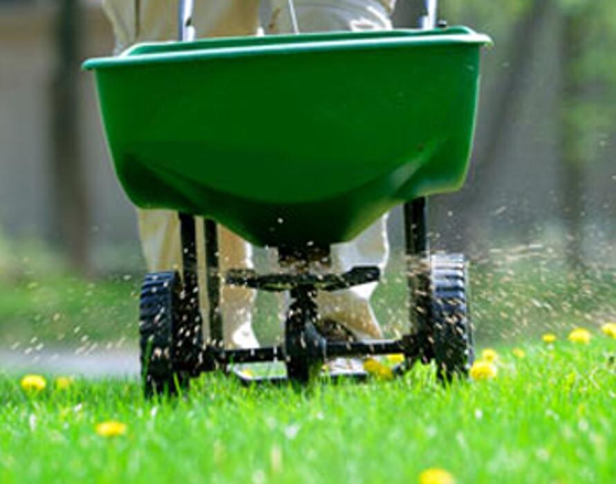 Images Fox Mowing & Gardening Kellyville | Lawn Mowing and Gardening Maintenance #1 Lawn Services, Soft Landscaping