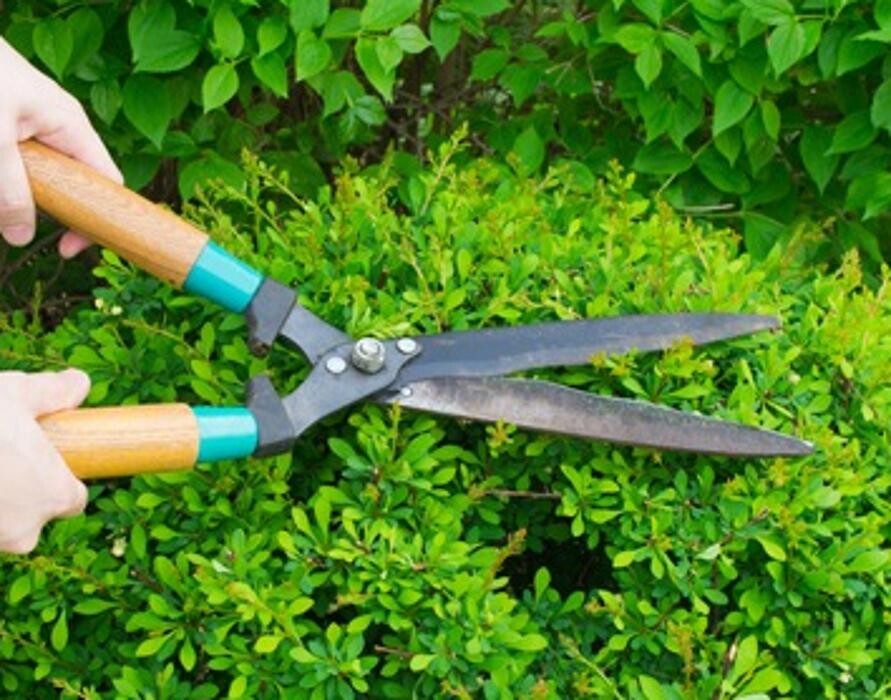Images Fox Mowing & Gardening Kellyville | Lawn Mowing and Gardening Maintenance #1 Lawn Services, Soft Landscaping