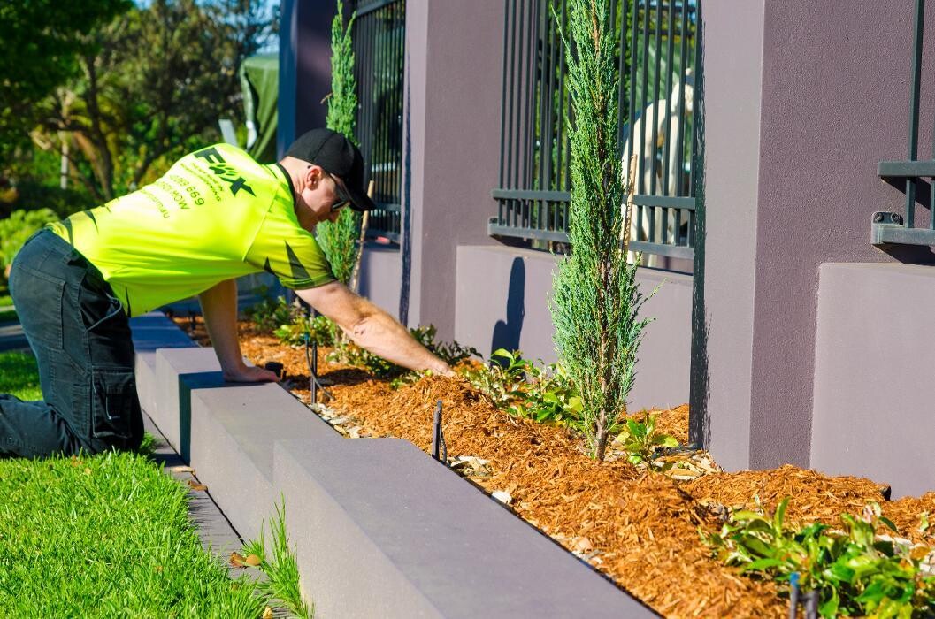 Images Fox Mowing & Gardening Canada Bay | Lawn Mowing and Gardening Maintenance #1 Lawn Services, Soft Landscaping