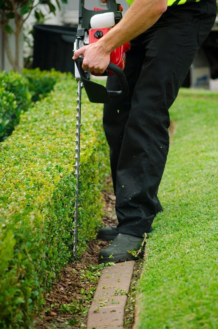 Images Fox Mowing & Gardening Canada Bay | Lawn Mowing and Gardening Maintenance #1 Lawn Services, Soft Landscaping