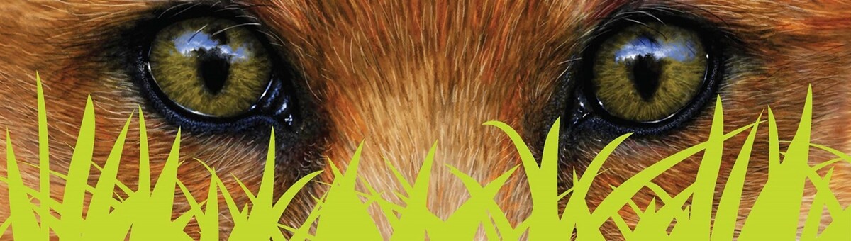 Images Fox Mowing & Gardening Sutherland | Lawn Mowing and Gardening Maintenance #1 Lawn Services, Soft Landscaping