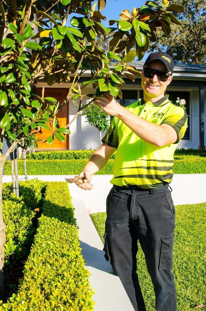 Images Fox Mowing & Gardening Sutherland | Lawn Mowing and Gardening Maintenance #1 Lawn Services, Soft Landscaping