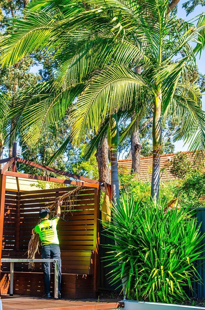 Images Fox Mowing & Gardening Sutherland | Lawn Mowing and Gardening Maintenance #1 Lawn Services, Soft Landscaping