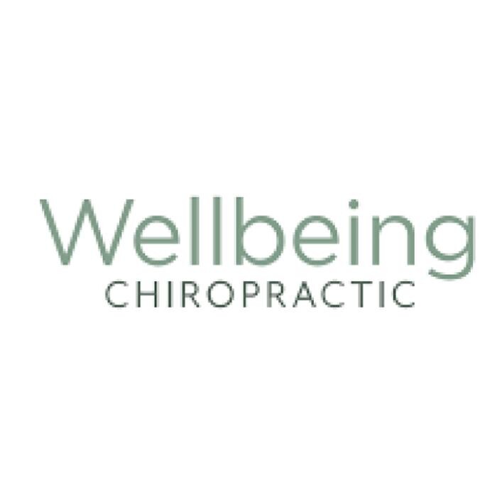 Wellbeing Chiropractic Hurstville Logo