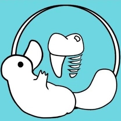 Platypus Dental Logo