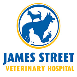 James Street Veterinary Hospital - formerly Anvet Beenleigh Pet Hospital Logo