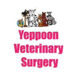 Yeppoon Veterinary Surgery Logo