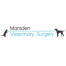 Marsden Veterinary Surgery Logo