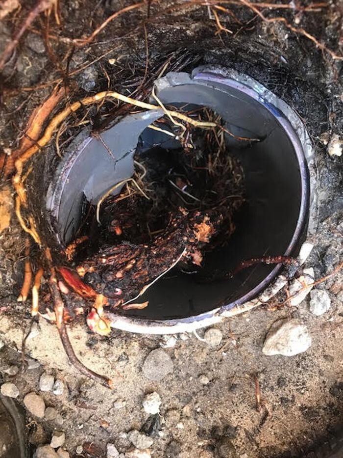 Images Everyday Plumbing