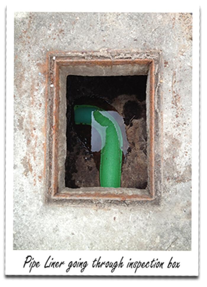 Images Reline Solutions