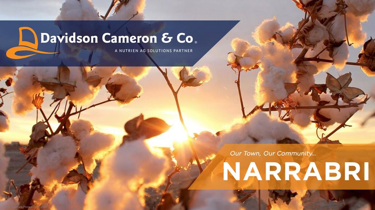 Images Davidson Cameron & Co Narrabri