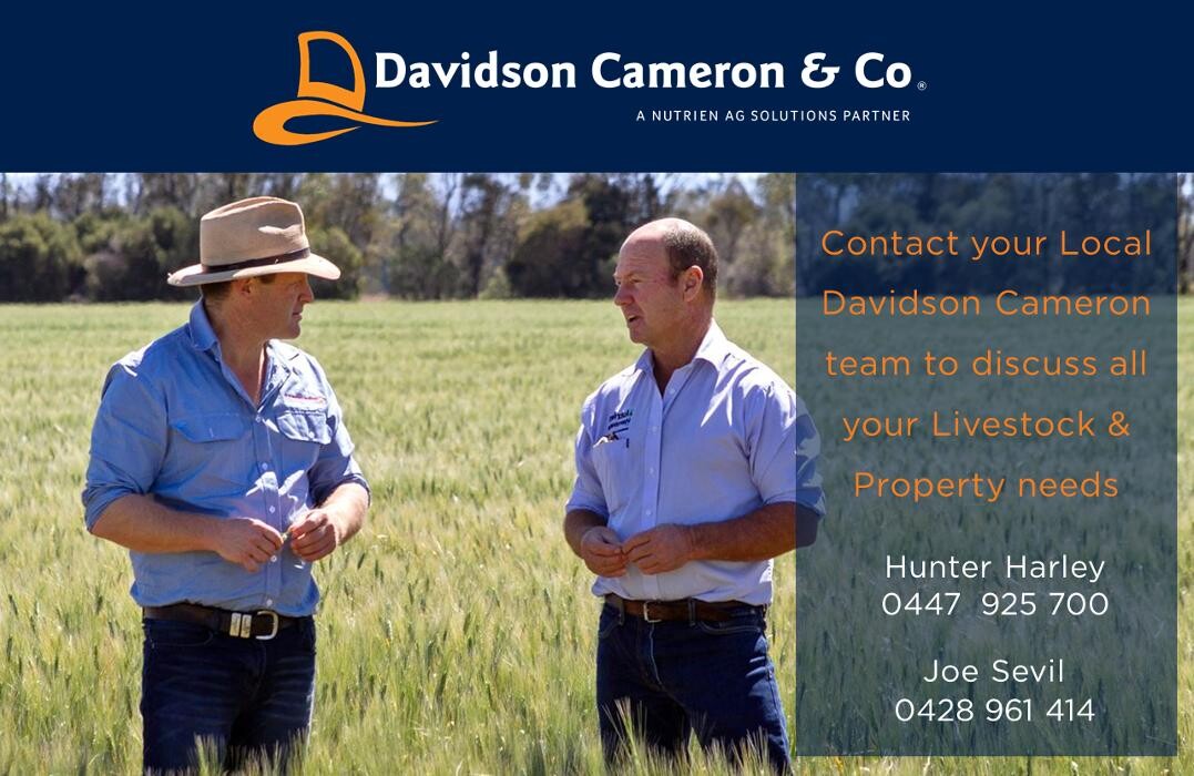 Images Davidson Cameron & Co Narrabri