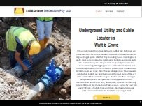 Website Screenshot Subsurface Detection