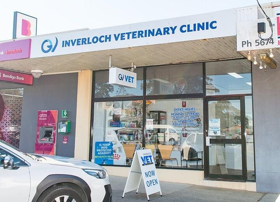 Images Inverloch Veterinary Clinic Gippsland Veterinary Group