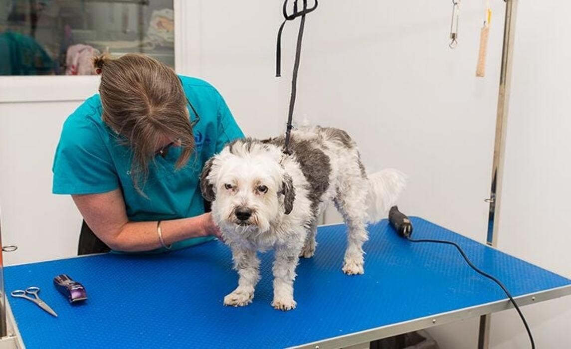 Images Inverloch Veterinary Clinic Gippsland Veterinary Group
