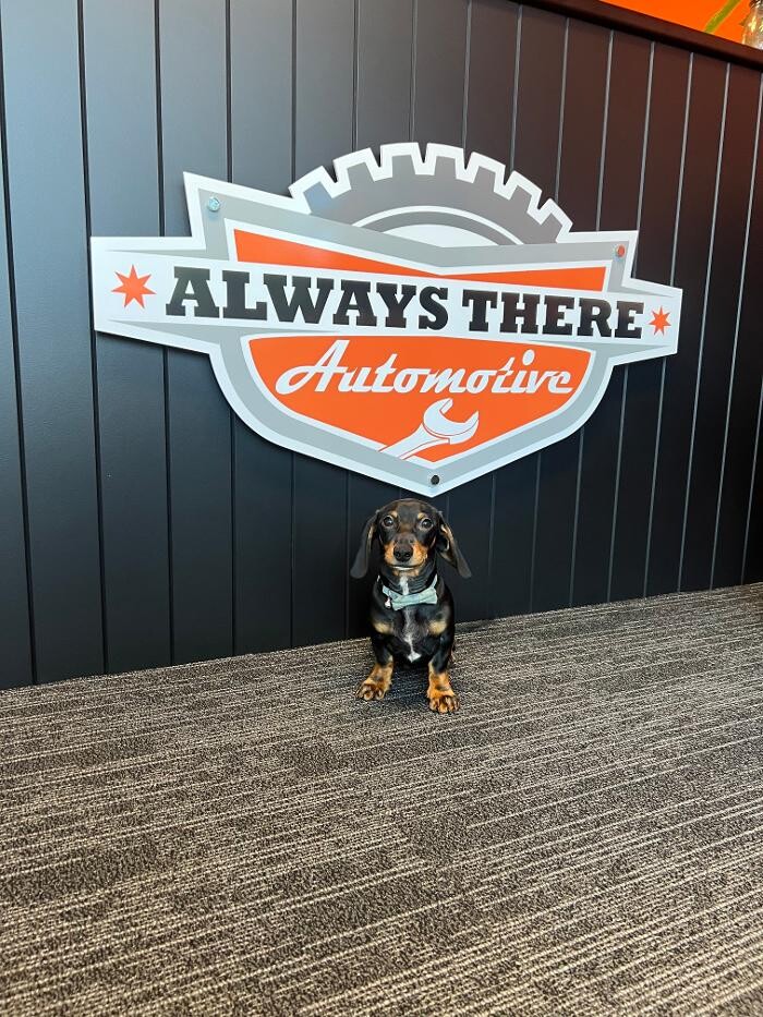 Images Always There Automotive - Ashmore