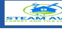 Website Screenshot Steam Away Carpet And Tile Cleaning
