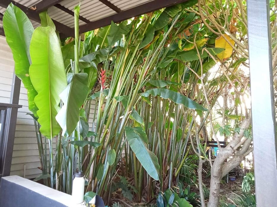 Images Just About Cleaning