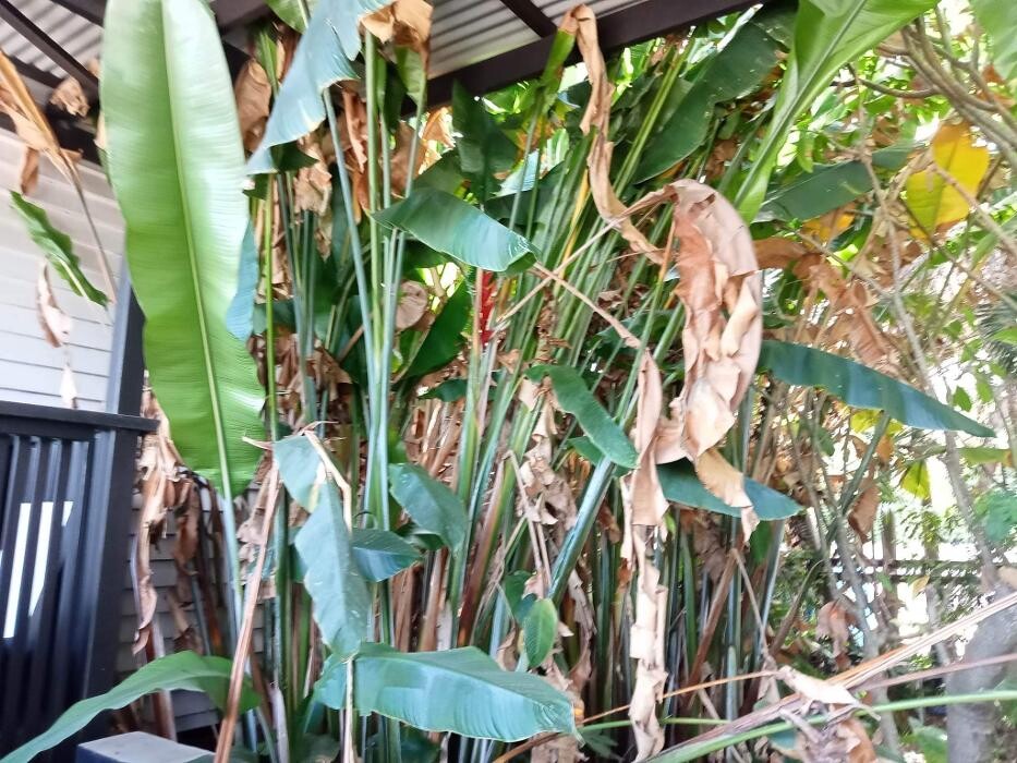 Images Just About Cleaning