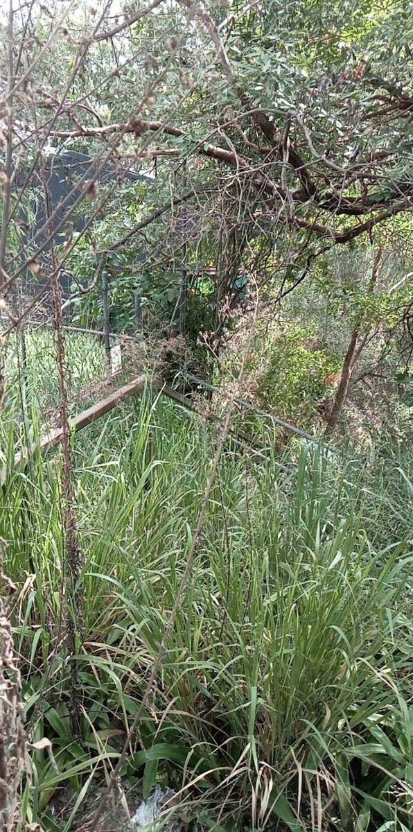 Images Just About Cleaning