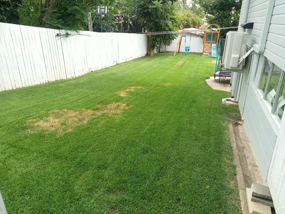 Images Just About Cleaning