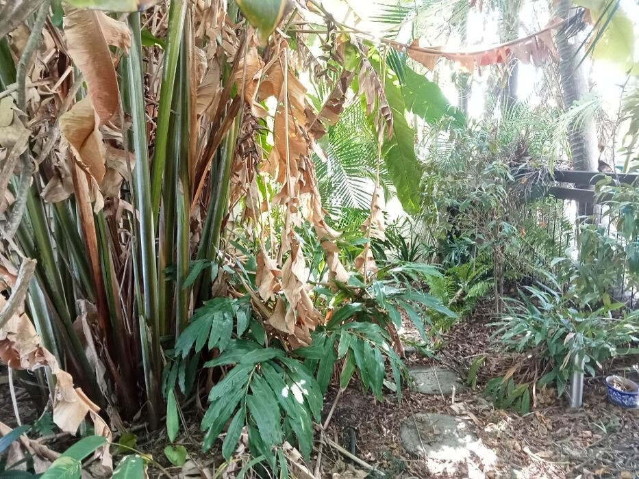 Images Just About Cleaning