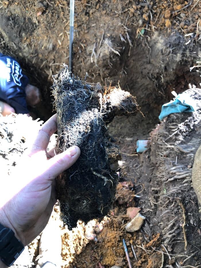 Images WillPlumb Plumbing Services