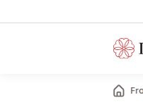 Website Screenshot Dovida Adelaide