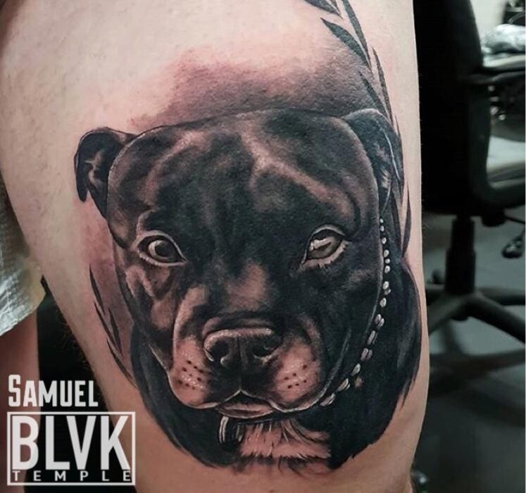 Images Black Market Tattoo Co | Robina Gold Coast Tattoo Studio