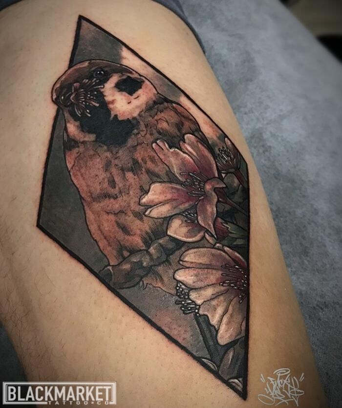 Images Black Market Tattoo Co | Robina Gold Coast Tattoo Studio