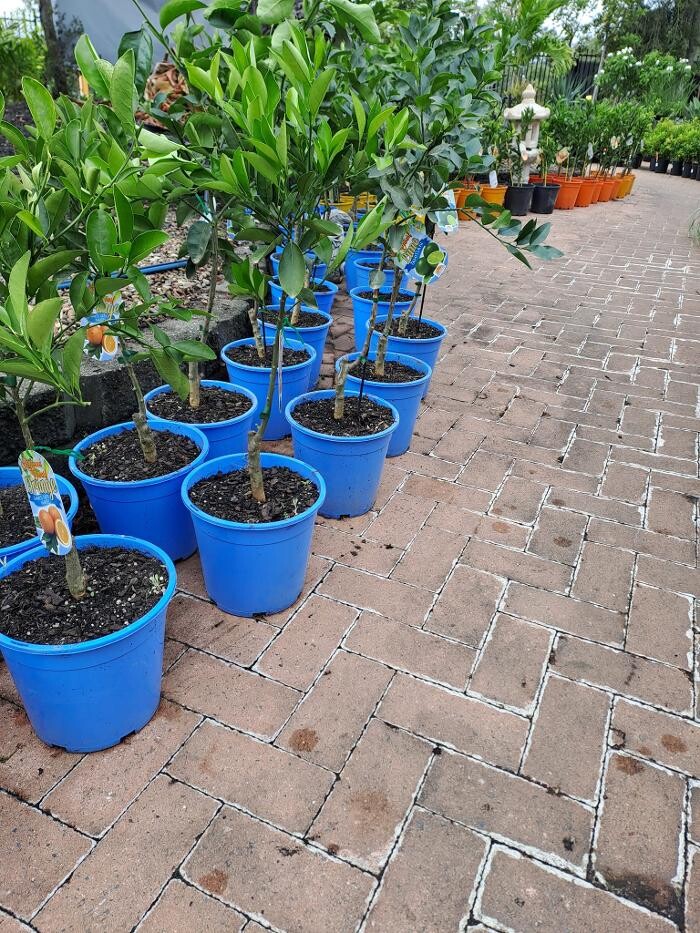 Images Cobble Patch Landscape Supplies