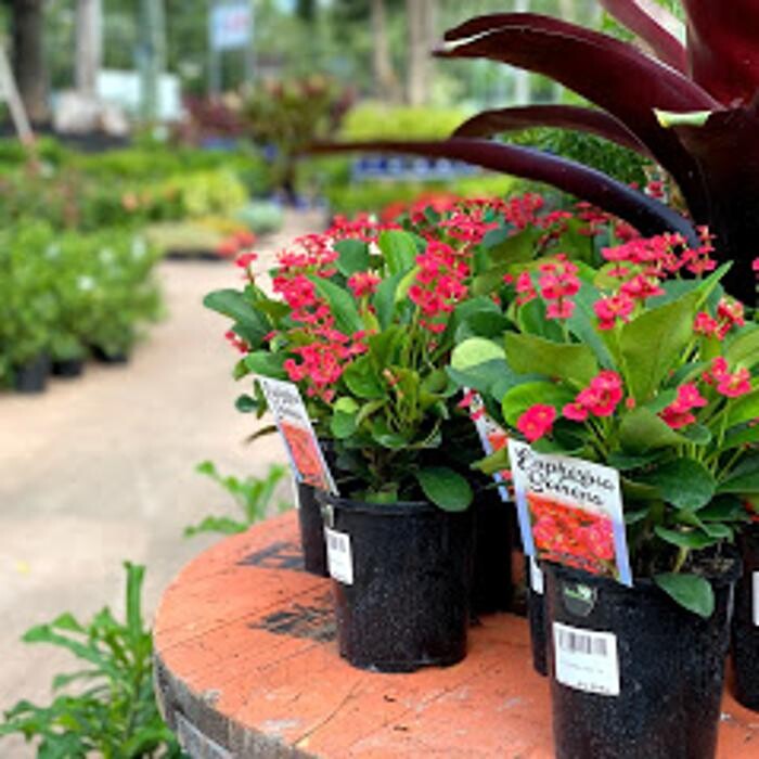 Images Cobble Patch Landscape Supplies