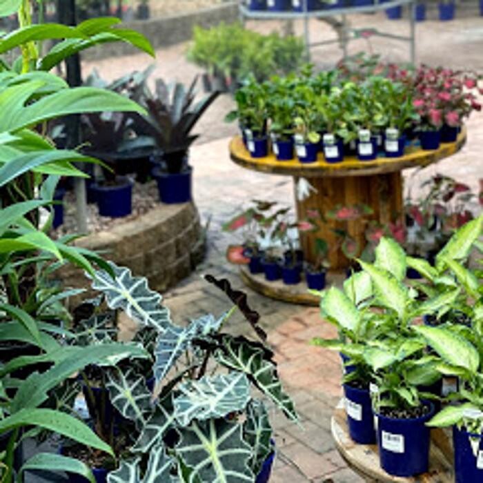 Images Cobble Patch Landscape Supplies