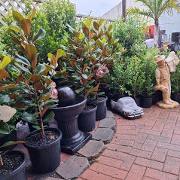 Images Cobble Patch Landscape Supplies