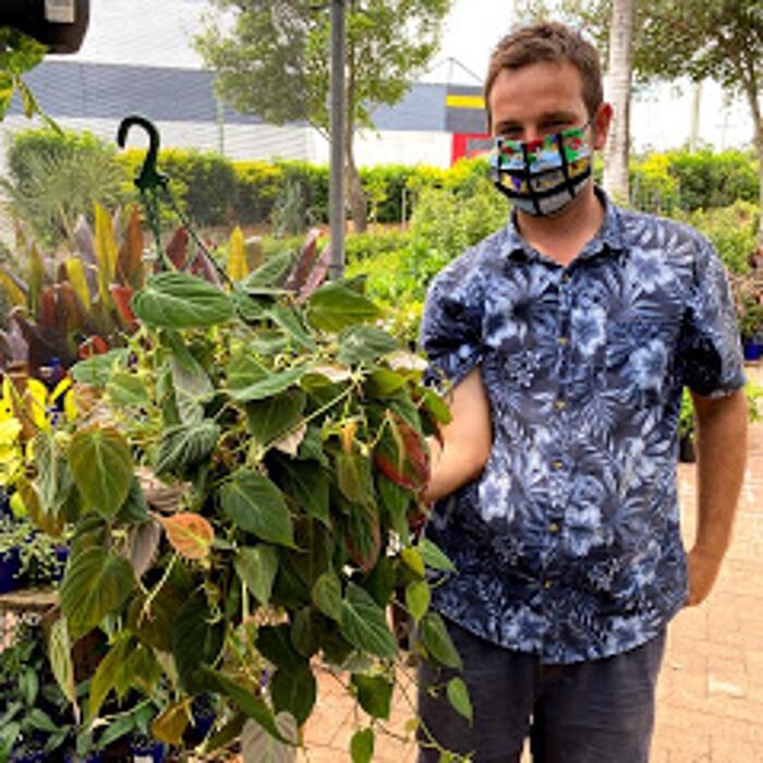 Images Cobble Patch Landscape Supplies