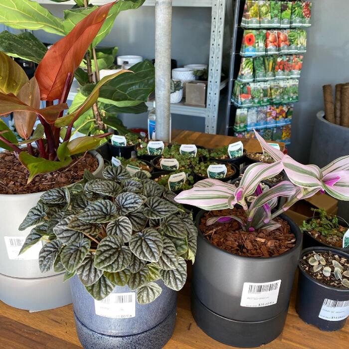 Images Cobble Patch Landscape Supplies