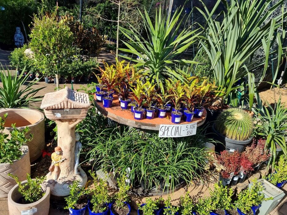 Images Cobble Patch Landscape Supplies