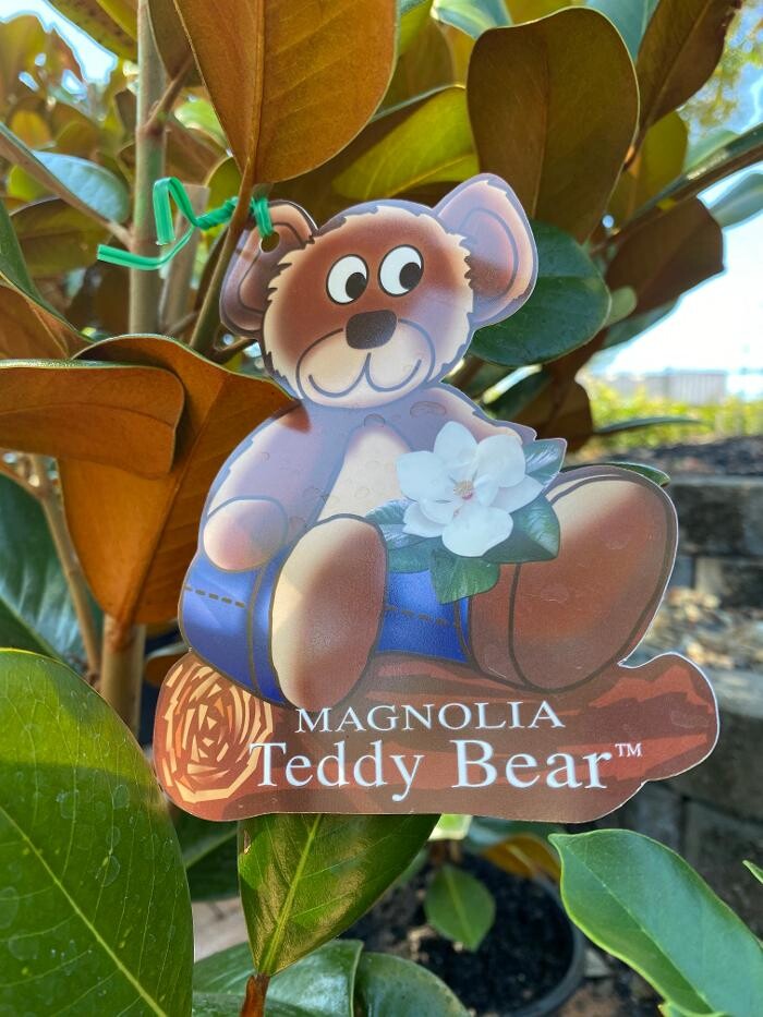 Images Cobble Patch Landscape Supplies