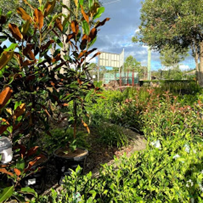 Images Cobble Patch Landscape Supplies